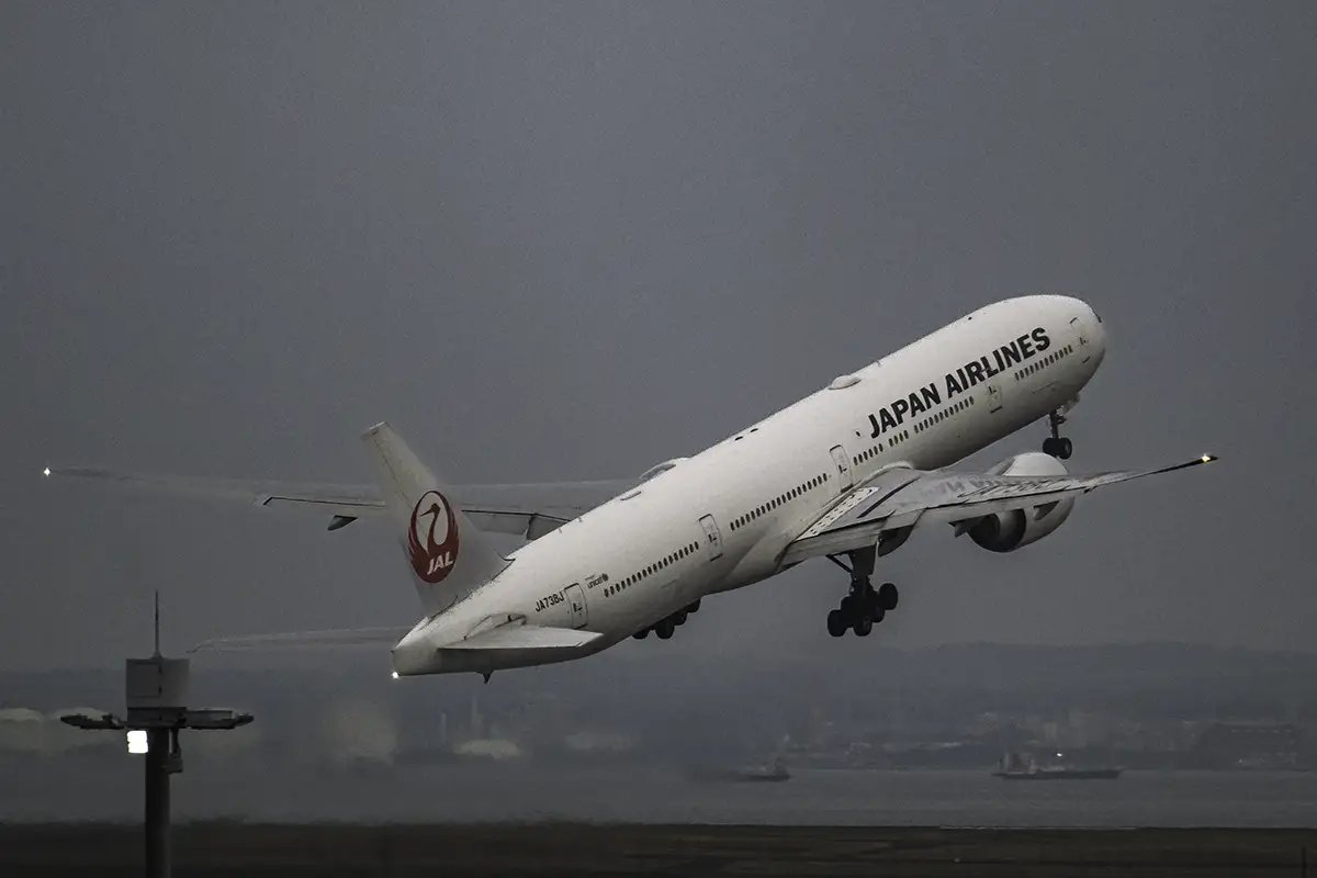 ✈️ 게이힌지마 쓰바사 공원 이미지 5